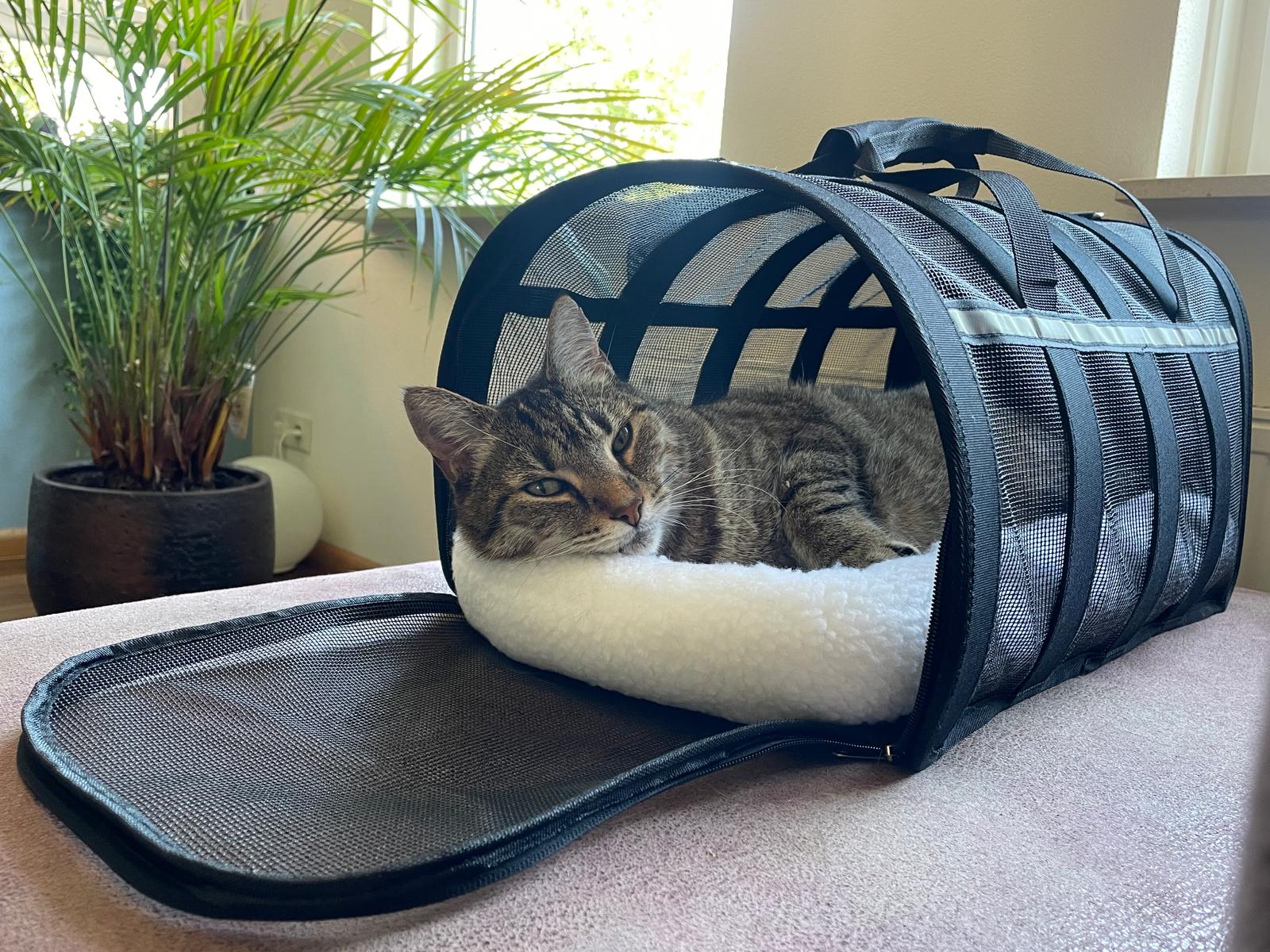 Opvouwbare Kattenreismand Zwart 9