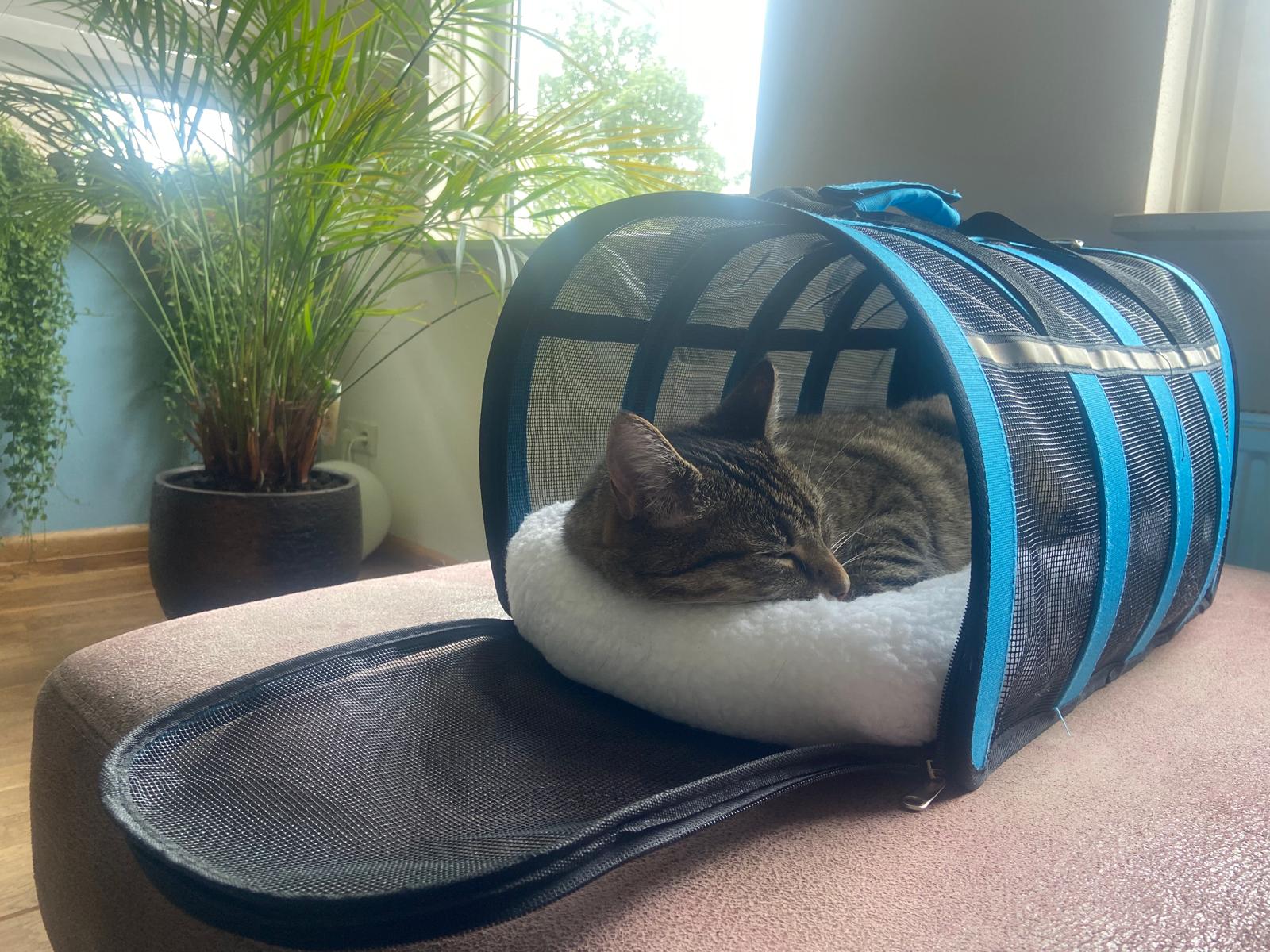 Opvouwbare Kattenreismand Blauw 9