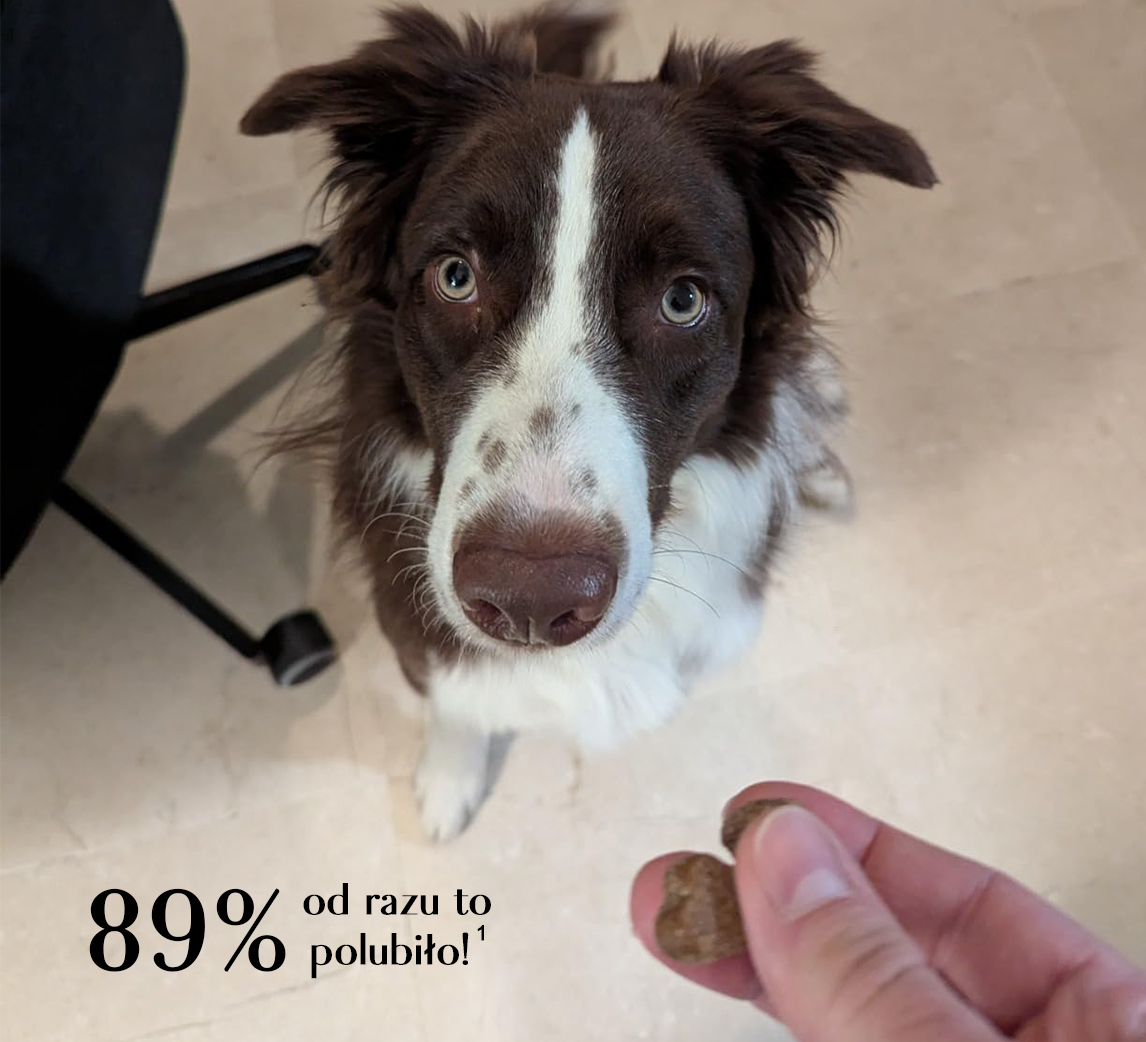 Darmbalans XL - Probiotica Chews voor Honden - Vleessmaak - 100 stuks 5