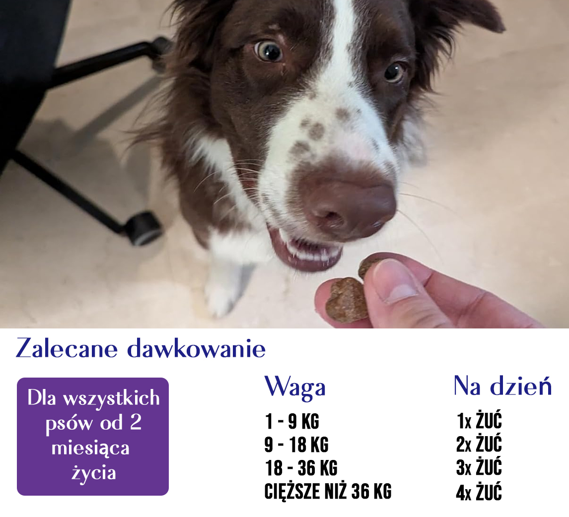 Darmbalans XL - Probiotica Chews voor Honden - Vleessmaak - 100 stuks 6