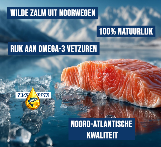 Premium Zalmolie voor katten - 100 ml 3