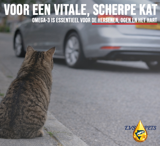 Premium Zalmolie voor katten - 100 ml 8
