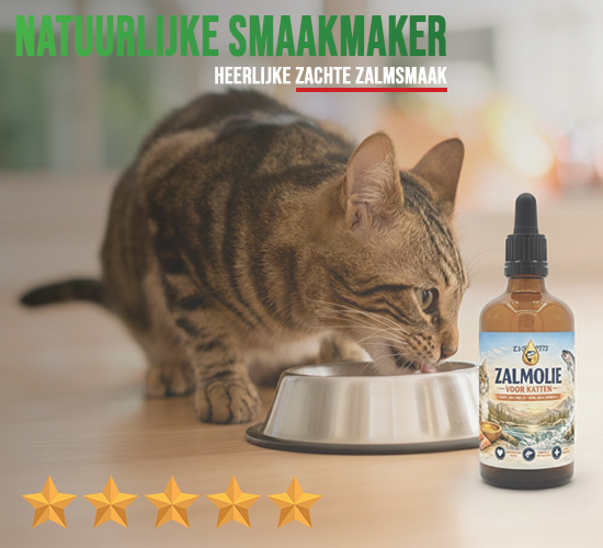 Premium Zalmolie voor katten - 100 ml 10