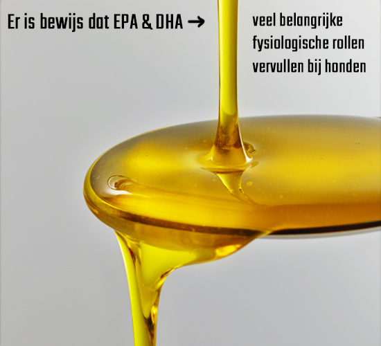 Premium Zalmolie voor honden - 250 ml 7